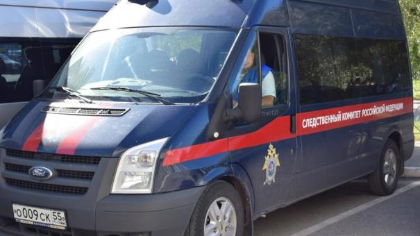Житель Кузбасса, ранее судимый, подозревается в убийстве девочки из села Топки