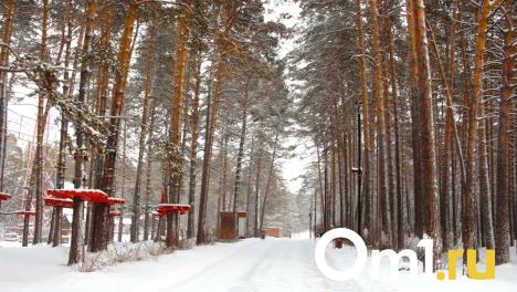 Новосибирск накроет оттепель в середине февраля