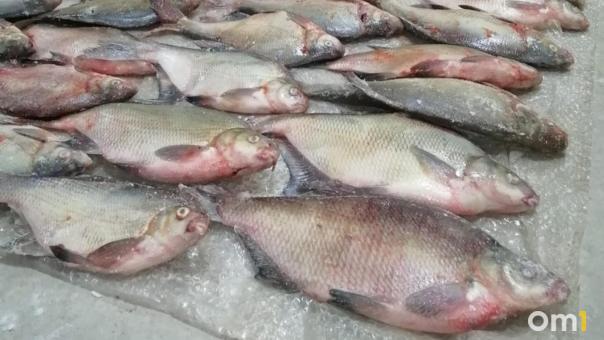 Жителей Омска предупреждают об опасной мясной, рыбной и молочной продукции