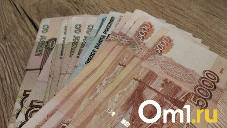 Новосибирская область заняла второе место в СФО по доле прибыли коллекторских агентств