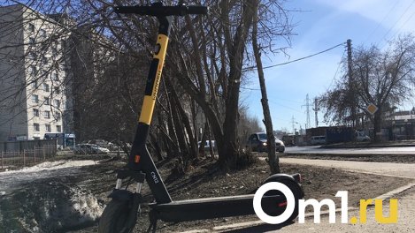 В Новосибирске открылся сезон падений с электросамокатов в 2023 году