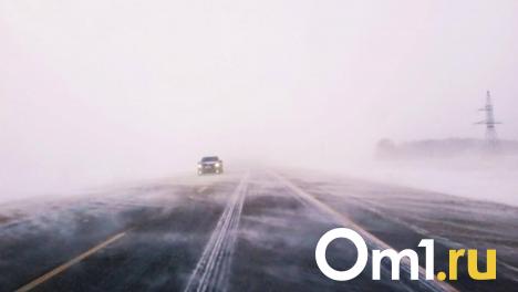 Метель и резкие перепады температуры ждут омичей на старый Новый год
