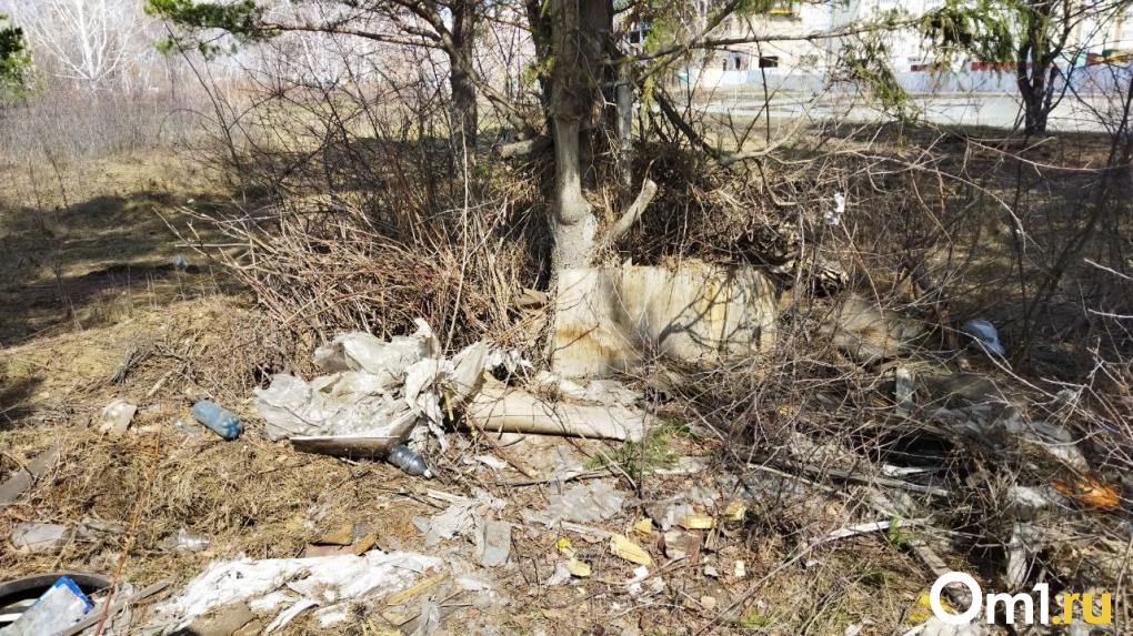 Омичи вышли на городской субботник: как это было?
