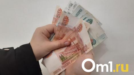 Новый размер детских пособий в 2024 году назвали в СФР Новосибирской области