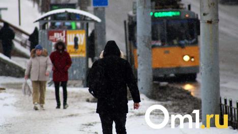 Зима не хочет покидать Омскую область