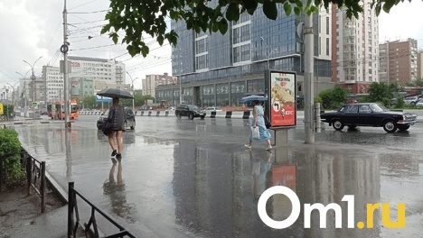 Дожди обрушатся на Новосибирск в ближайшие выходные