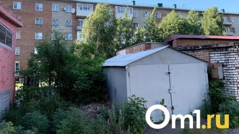 Омских мобилизованных освободили от земельного налога