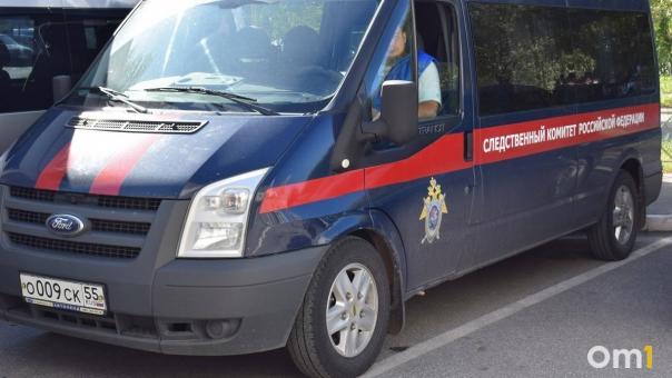 Глава СК Бастрыкин заинтересовался ограничением проезда к ЖК «Панорама»