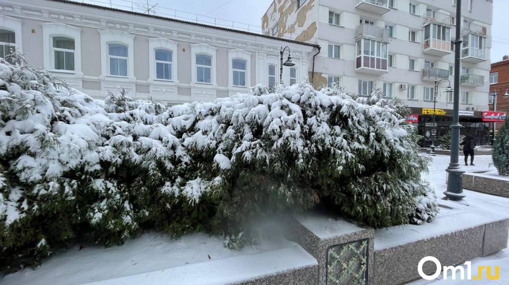 В Омск пришла зима. Последствия мощного ночного снегопада