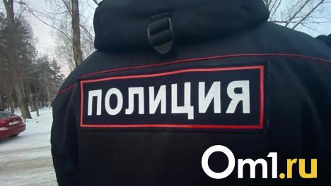 Полицейские задержали омича, который обманул четырёх пенсионеров на 2,6 миллиона
