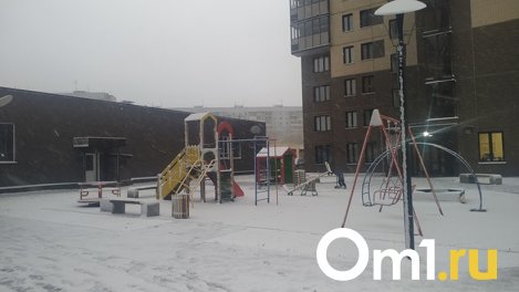 Шестидневный снегопад предстоит пережить новосибирцам в октябре