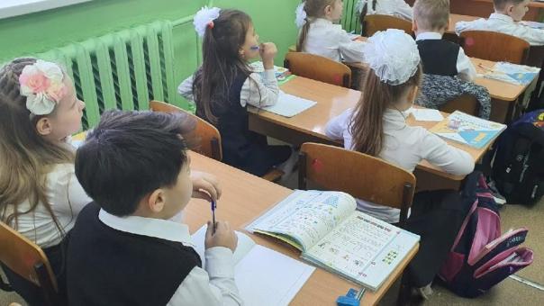В Новосибирске проверяют жалобы родителей на агрессивных первоклассников