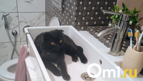 В Октябрьском и Центральном округах Омска на весь день отключат холодную воду (СПИСОК)