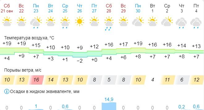 На Омск надвигаются первые ночные заморозки