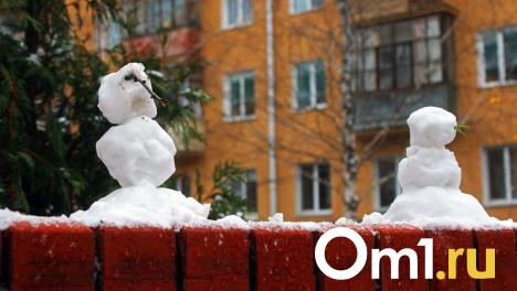 Метель в Омской области будет бушевать все выходные