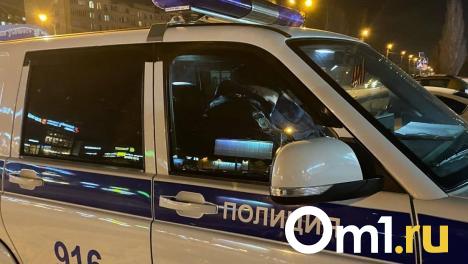 В Омской области иномарка сбила 7-летнюю девочку