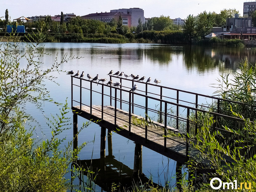 Омич на выходных: как устроить отпуск в Павлодаре на два дня