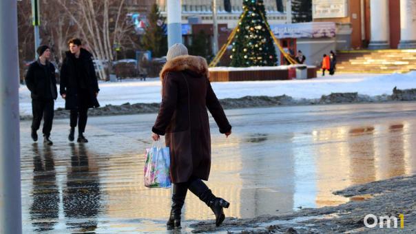 Предновогодний дождь. Неделя в Омске начнётся с плюсовой температуры