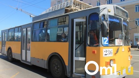 В следующем году по омскому Левобережью пустят три троллейбусных маршрута