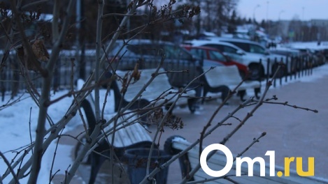 Погода в Омске и области на выходных: ожидается потепление и снег