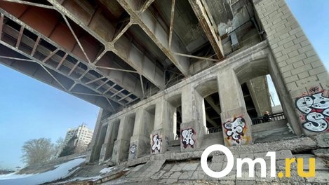 Почти 6 миллионов рублей потратят на проект моста в Омской области