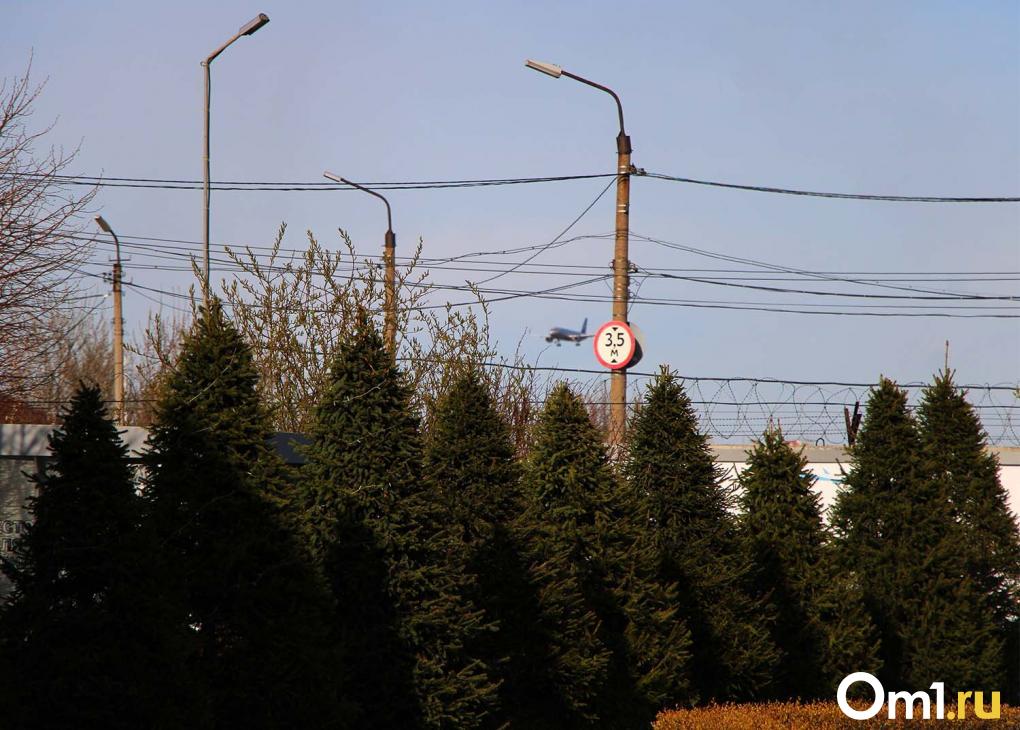 Приветствовали как рок-звёзд: омичи встретили в аэропорту хоккеистов «Авангарда»