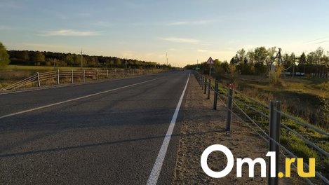 Омская область получит 300 миллионов рублей на расширение дороги до Новосибирска