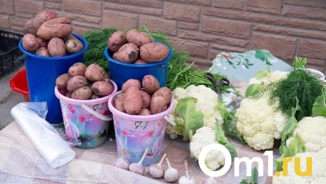 В Омской области ограничат наценку на овощи, молочные продукты, сахар и хлеб
