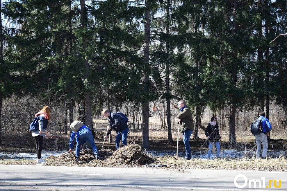 В Новосибирске прошёл общегородской субботник — показываем, насколько стали чище улицы