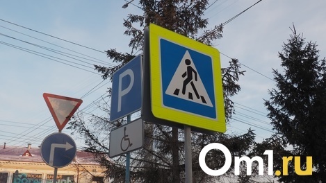 Парень на иномарке сбил юного омича под самый конец Дня молодёжи