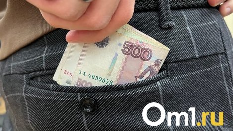 Сумма взяток по уголовным делам ОБЭП в Новосибирске превысила 3,2 млн рублей