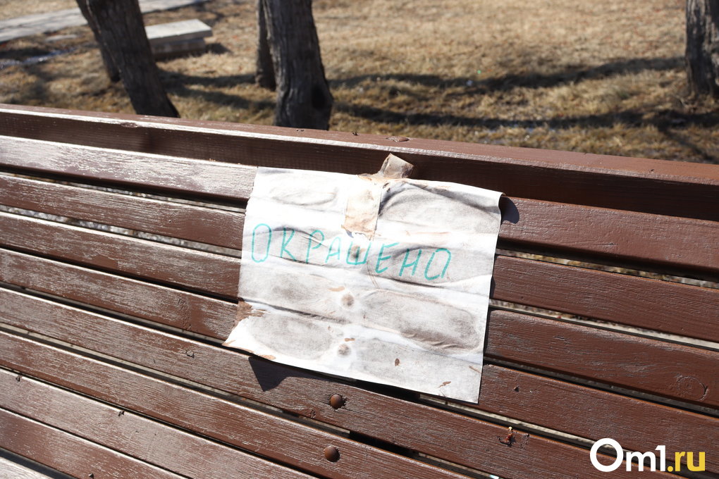 В Новосибирске прошёл общегородской субботник — показываем, насколько стали чище улицы