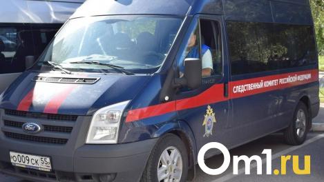 Под Новосибирском нашли тело ребёнка, в убийстве которого подозревают бойца ММА