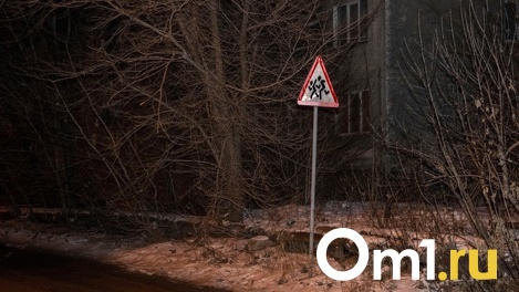 В Омске на трассе автомобиль насмерть сбил пенсионера