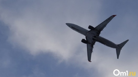 В Петербурге закрыли небо над аэропортом из-за неопознанного летающего объекта