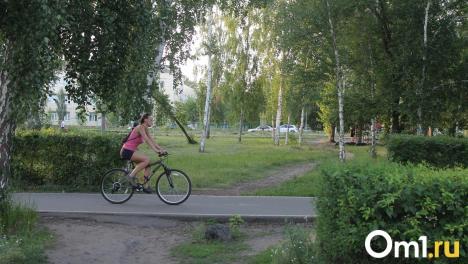 Омск велосипедный. Где арендовать и где кататься в нашем городе — топ мест