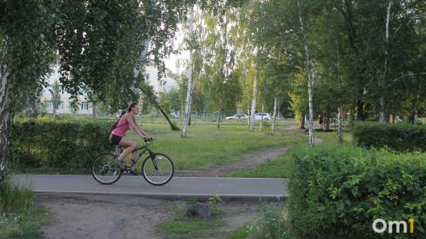 Омск велосипедный. Где арендовать и где кататься в нашем городе — топ мест