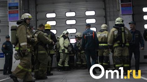 Пенсионер вместе с питомцами погиб при пожаре в Бердске