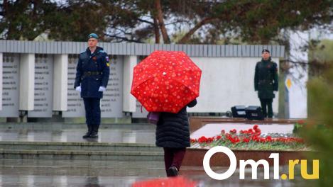 Синоптики пообещали град в Омске на 9 Мая