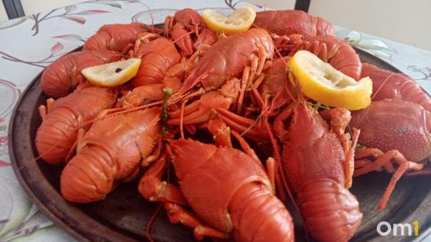 В омском «Терминале» откроется гастро-буфет с морепродуктами