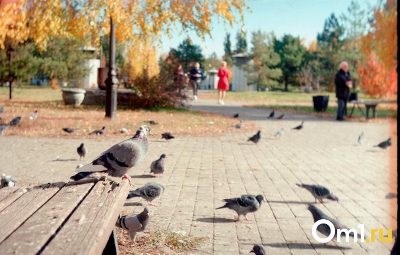 Изображение фоторепортажа