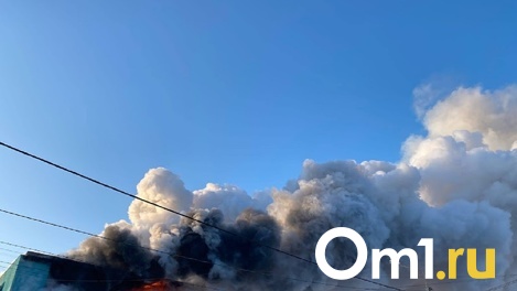 Новые подробности про омских детей, которые пострадали от взрыва газового баллона
