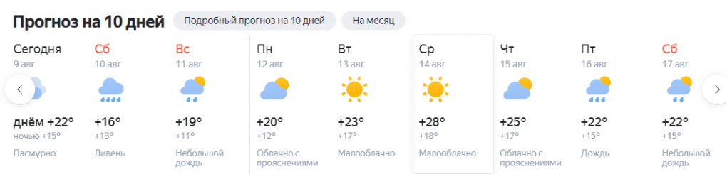 Дожди и +11: на выходных в Новосибирске пройдёт репетиция осенней погоды