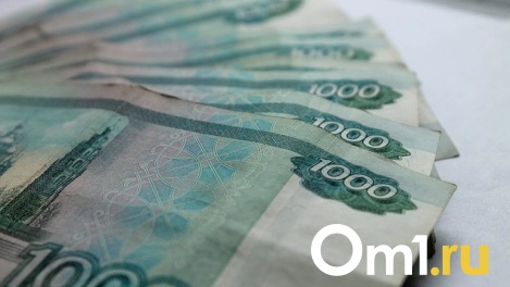В Госдуме предложили выплачивать в декабре тринадцатую пенсию