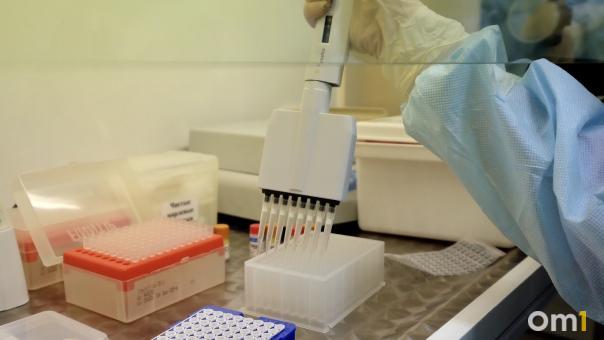 В Новосибирске откроют лабораторию для исследования африканской чумы у свиней