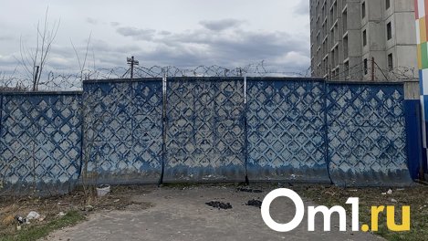 Мэрия предлагает омичам участки под склад, ТЦ и несколько коттеджей