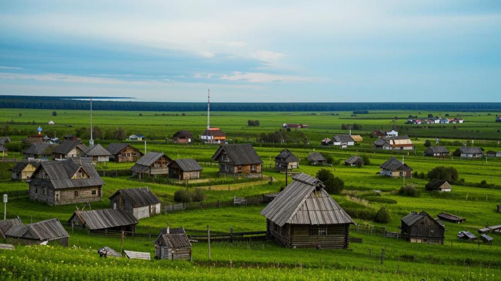 Где собирать землянику в Новосибирской области? Топ-5 популярных мест