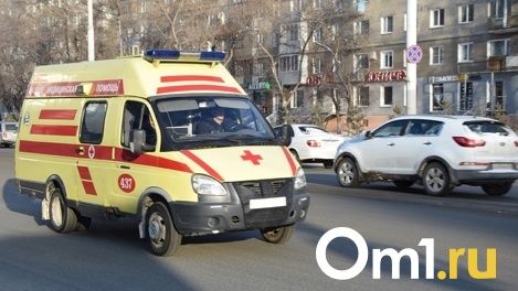 3-летняя девочка травмировала желудок маникюрными ножницами в Новосибирске
