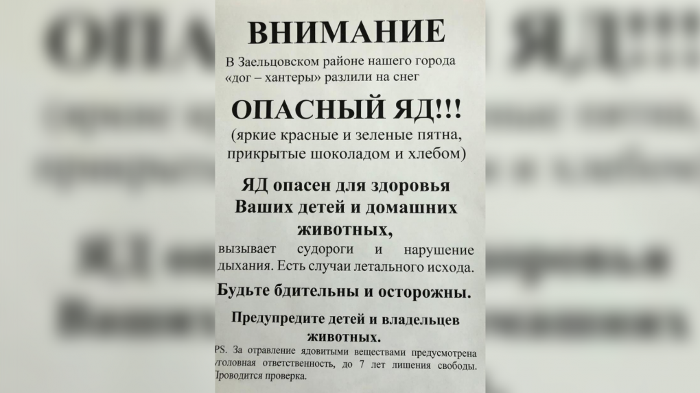 У новосибирцев умирают собаки из-за отравленного снега