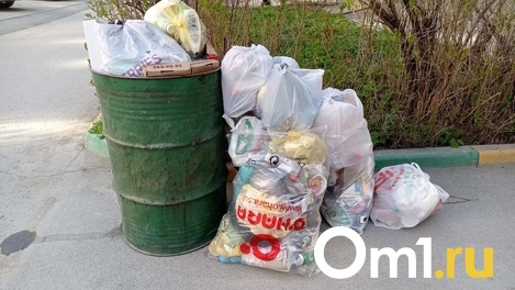 Помойка под окном: жительница Новосибирска пожаловалась на кучи мусора